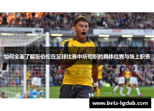 如何全面了解张伯伦在足球比赛中所司职的具体位置与场上职责