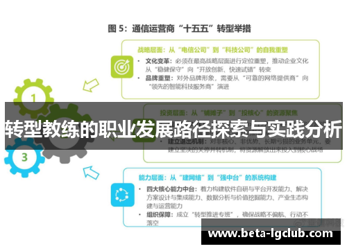 转型教练的职业发展路径探索与实践分析
